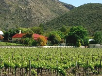 Montagu Vines B&B